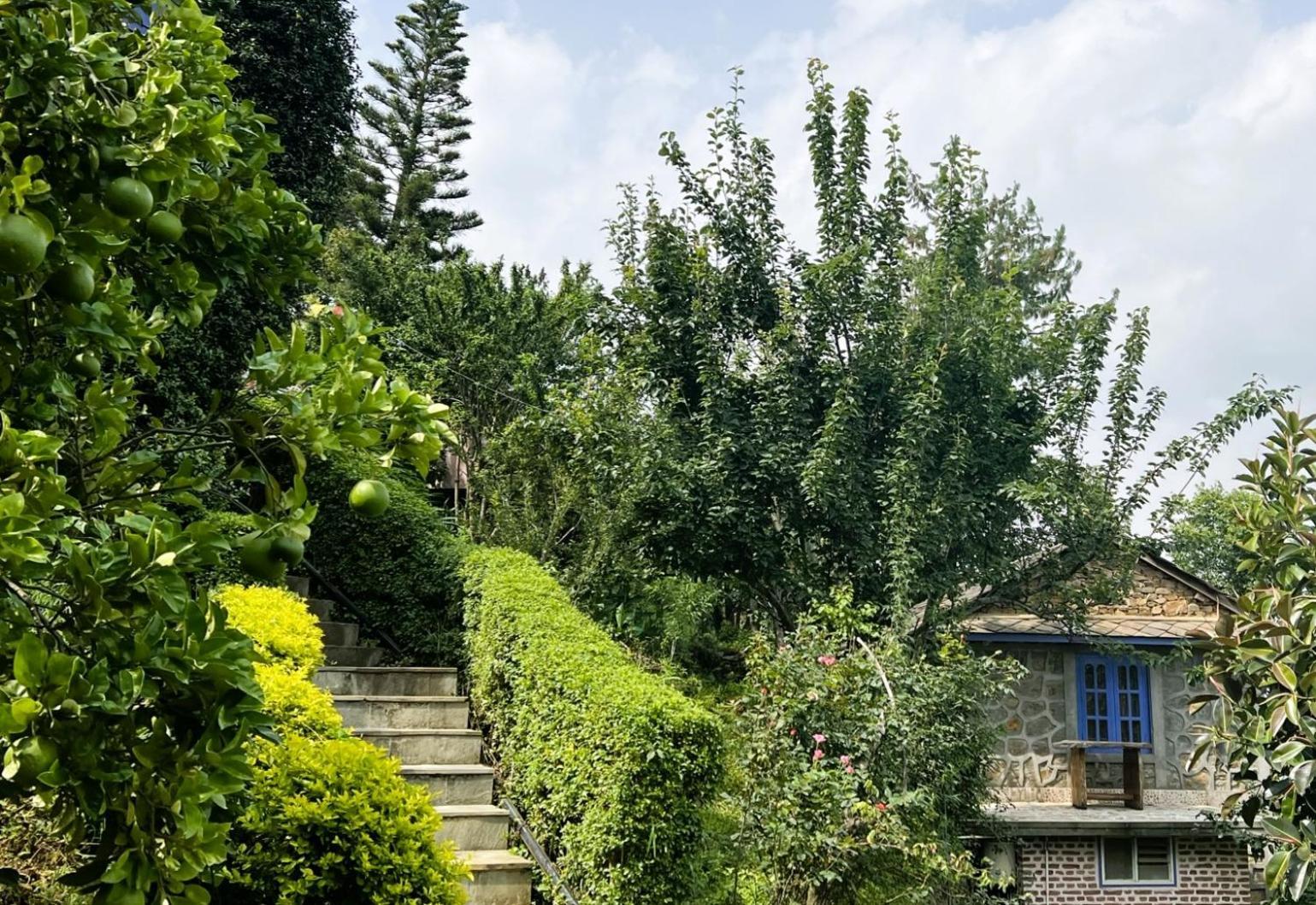 Joy Source Resort Kathmandu Exterior photo